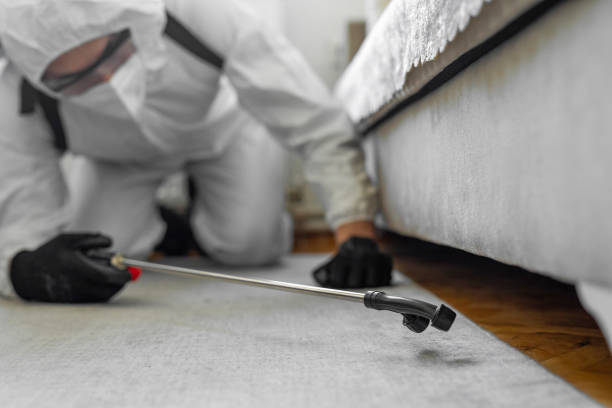 Professional Termite Control technician working in Mentor, OH
