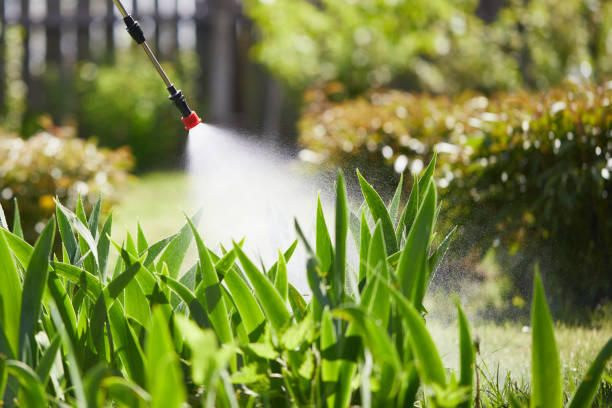 24/7 Emergency Termite Control experts in Mentor, OH