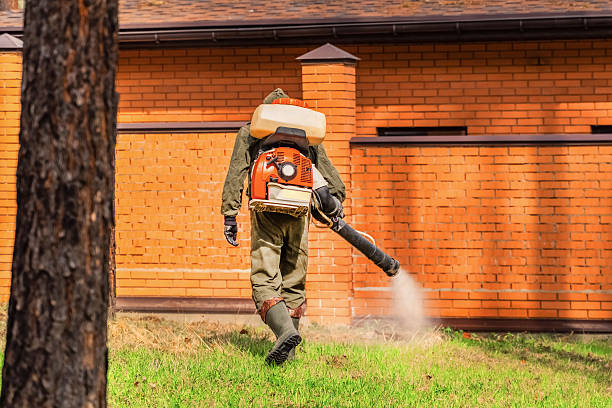 Top rated local Termite Control specialists in Mentor, OH